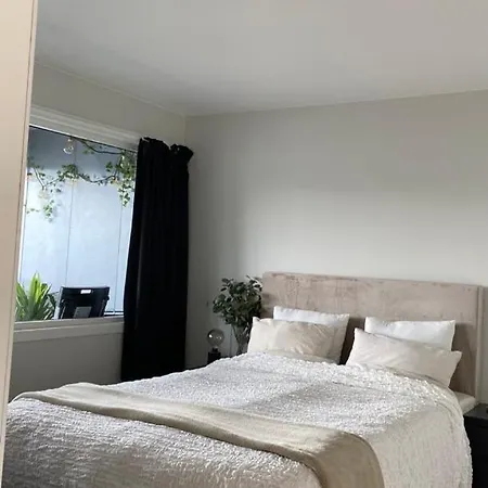 Apartman Ons 2024 - Central With Direct Bus To Ons *